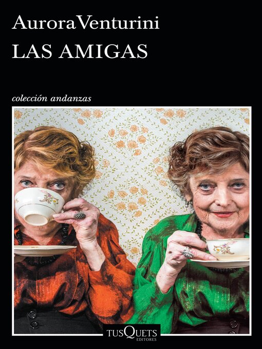 Title details for Las amigas by Aurora Venturini - Wait list
